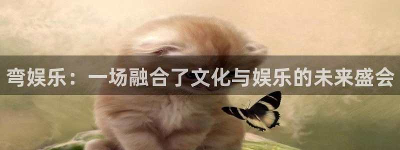 焦点娱乐登录：弯娱乐：一场融合了文化与娱乐的未来盛会