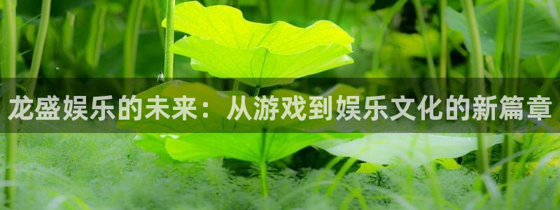 焦点娱乐官网：龙盛娱乐的未来：从游戏到娱乐文化的新篇章