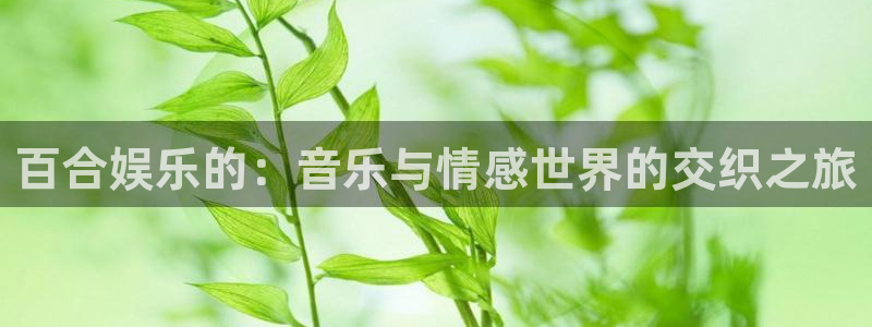 焦点娱乐官网：百合娱乐的：音乐与情感世界的交织之旅