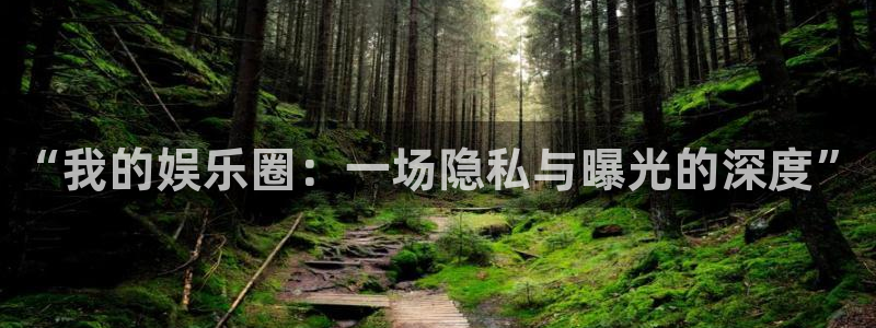 焦点娱乐：“我的娱乐圈：一场隐私与曝光的深度”