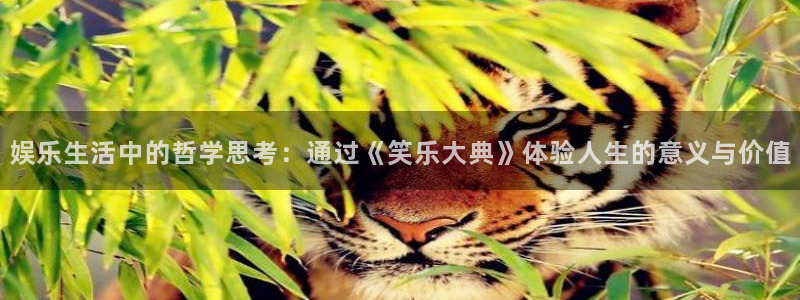 焦点娱乐官网：娱乐生活中的哲学思考：通过《笑乐大典》体验人生的意义与价值