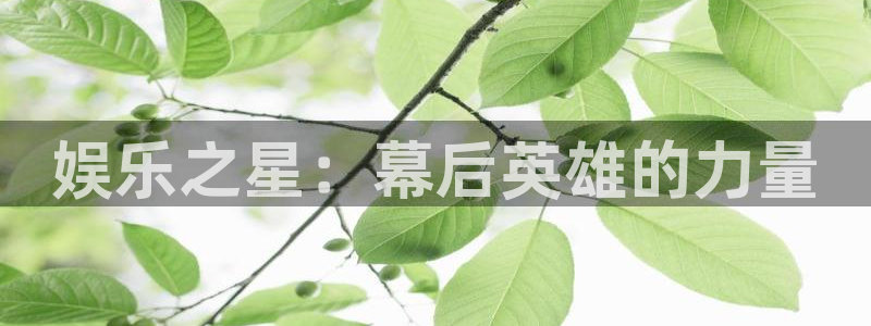 焦点娱乐官网：娱乐之星：幕后英雄的力量