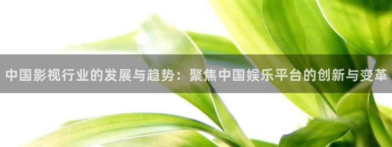 焦点娱乐：中国影视行业的发展与趋势：聚焦中国娱乐平台的创新与变革