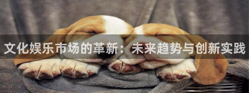 焦点娱乐登录：文化娱乐市场的革新：未来趋势与创新实践