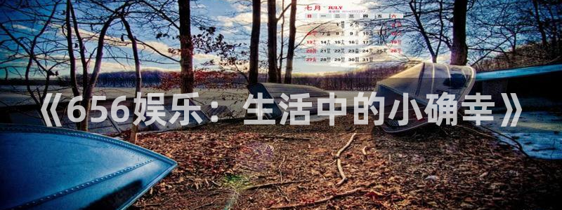 焦点娱乐官网：《656娱乐：生活中的小确幸》